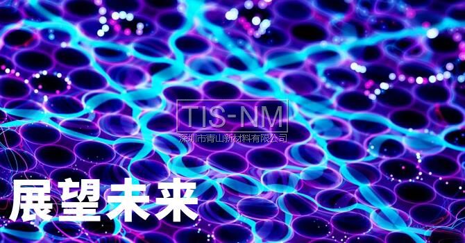 納米技術(shù)未來(lái)